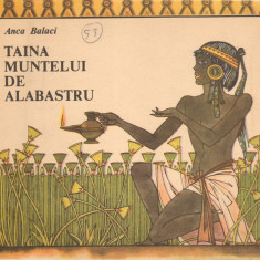 Taina muntelui de alabastru - Anca Balaci