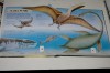 Dinozauri in 3 dimensiuni