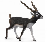 Figurina pictata manual Antilopa Blackbuck, Collecta