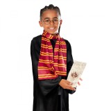 Set accesorii Harry Potter pentru copii 3 ani + Universala