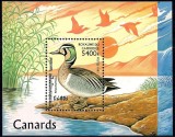 Cambodge 1997 - Pasari, rate, colita neuzata