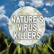 Nature&#039;s Virus Killers