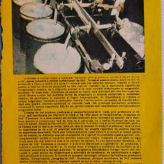 1982 Reclamă Intreprinderea Integrata de lana CONSTANTA comunism 24x17 cm
