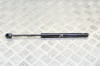 Amortizor capota dreapta față TESLA MODEL 3 2018 OEM: 1091472-00-B 12151595