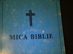 MICA BIBLIE--254 PG- foto