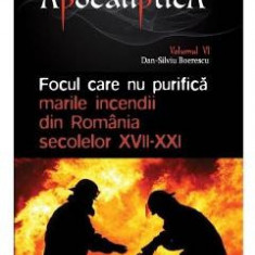 Apocaliptica Vol.6: Focul care nu purifica - Dan-Silviu Boerescu