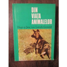 Din viața animalelor - Hugo și Jane van Lawick-Goodall