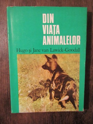 Din viața animalelor - Hugo și Jane van Lawick-Goodall foto