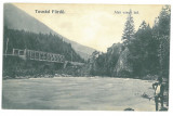 4987 - TUSNAD, Harghita, Bridge, Romania - old postcard - used - 1906, Circulata, Printata