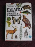 CALAUZA IN LUMEA PLANTELOR SI ANIMALELOR - CONSTANTIN PARVU