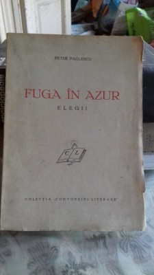 FUGA IN AZUR - PETRE PAULESCU foto