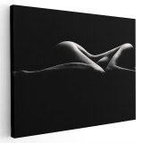 Tablou canvas nud femeie, alb, negru 1148 Tablou canvas pe panza CU RAMA 80x120 cm