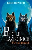 Pisicile Razboinice Vol.2: Foc si gheata - Erin Hunter