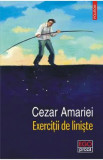 Exercitii de liniste - Cezar Amariei, 2021