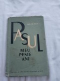 Ion th. Ilea-padul meu peste ani