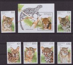 93-BENIN 1996-Animale-FELINE Colita si serie de 6 timbre nestampilate,MNH