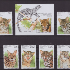 93-BENIN 1996-Animale-FELINE Colita si serie de 6 timbre nestampilate,MNH