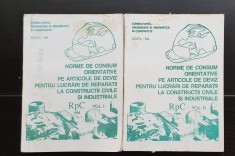 Norme de consum orientative pe articole de deviz pentru lucrări de reparații la construcții civile și industriale (2 vol.)