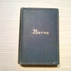 ROBERT BURNS - The Poetical Works - J. Logie Robertson (edited) - 1912, 635 p.