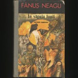 Cumpara ieftin &Icirc;N VĂPAIA LUNII - FĂNUȘ NEAGU - ED. ALBATROS