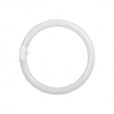 Tub Fluorescent Circular T9 32W lumina rece LR 6400K foto