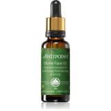 Antipodes Divine Face Oil Rosehip &amp; Avocado Oil ser protector impotriva primelor semne de imbatranire ale pielii 30 ml