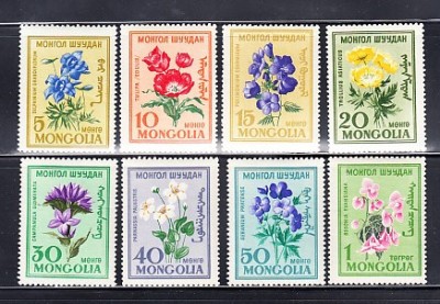 A12 S5 7 - Timbre foarte vechi - Mongolia - flori foto