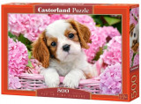 Puzzle 500 piese Pup in Pink Flowers, castorland