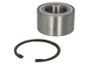Set rulment roata NISSAN X-TRAIL (T30) (2001 - 2013) BTA H21070BTA