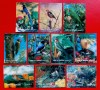 ✅(S3) 1972 UMM Al Qiwain , &quot;Pasari&quot; ,marci 3D lenticulare ,serie completa 10 valori ,MNH, Nestampilat