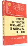 Principii si structuri fundamentale in matematica de liceu Vol. 2 - Alexandru L.