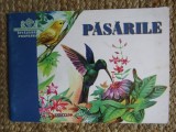 PASARILE - LUMINITA VOLINTIRU