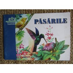 PASARILE - LUMINITA VOLINTIRU