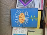 Adolescenta, o primejdie? vintage