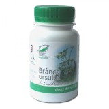 Branca Ursului Medica 60cps