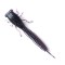 Năluca soft Fanatik X-Larva 2 inch culoare 007