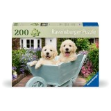 Cumpara ieftin Ravensburger - Puzzle pentru varstnici Golden Retriever cu sablon de imagine si