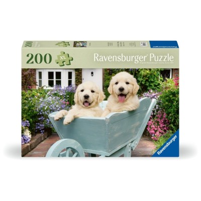 Ravensburger - Puzzle pentru varstnici Golden Retriever cu sablon de imagine si foto