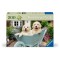 Ravensburger - Puzzle pentru varstnici Golden Retriever cu sablon de imagine si
