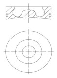 MAHLE 016 07 00 Piston