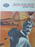 Aripile Frante - Djubran Khalil Djubran, Minerva 1988, BPT, Romana, Beletristica, Roman