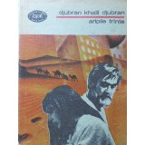 ARIPILE FRANTE-DJUBRAN KHALIL DJUBRAN-209355