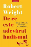 De ce este adevărat budismul - Paperback brosat - Robert Wright - Litera
