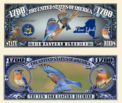 !!! SUA = FANTASY NOTE (TJ6) = NEW YORK , THE ESTERN BLUEBIRD - 2023 - UNC foto