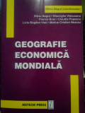 Silviu Negut - Geografie economica mondiala (2004)
