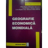 Silviu Negut - Geografie economica mondiala (Editia: 2004)