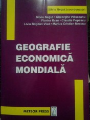 Silviu Negut - Geografie economica mondiala (Editia: 2004) foto