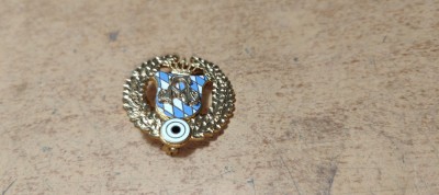 Pin Bavaria Germania foto