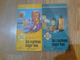 E2 LUCA GHERASIM - IMI ZUGRAVESC SINGUR CASA 2 volume