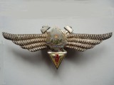 ROMANIA - INSIGNA MILITARA AVIATIE - TEHNIC DE AVIATIE CL. 3, MODEL 1968, ARGINTIE, RSR, IM1.249